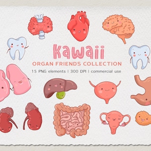 Kawaii Clipart, Cute Clipart, PNG, Kawaii School Clipart, Cute Heart Clipart, Organ Clipart, Anatomy Clipart, Lungs Clipart INSTANT DOWNLOAD