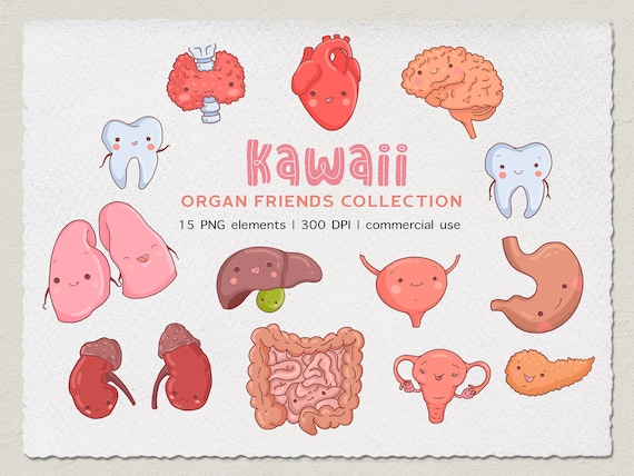 Kawaii Clipart, Cute Clipart, PNG, Kawaii School Clipart, Cute Heart Clipart, Organ Clipart, Anatomy Clipart, Lungs Clipart INSTANT DOWNLOAD