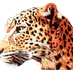 Puede incluir: Una vista de perfil de cerca de la cabeza de un leopardo. El leopardo tiene un pelaje naranja, negro y blanco con un patrón de manchas. Los ojos del leopardo están cerrados y su boca está ligeramente abierta.