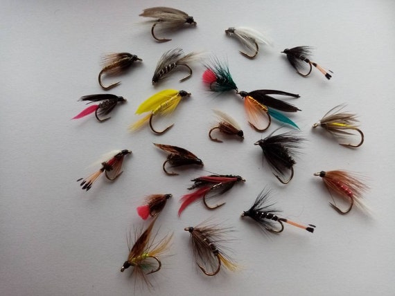 Trout Wet Fly Selection - 20 Top Quality Trout Flies - Etsy