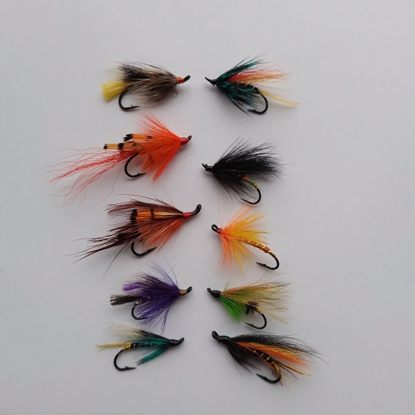 Salmon Fishing Fly Selection. 10 Top Quality Flies. Patterns in description.