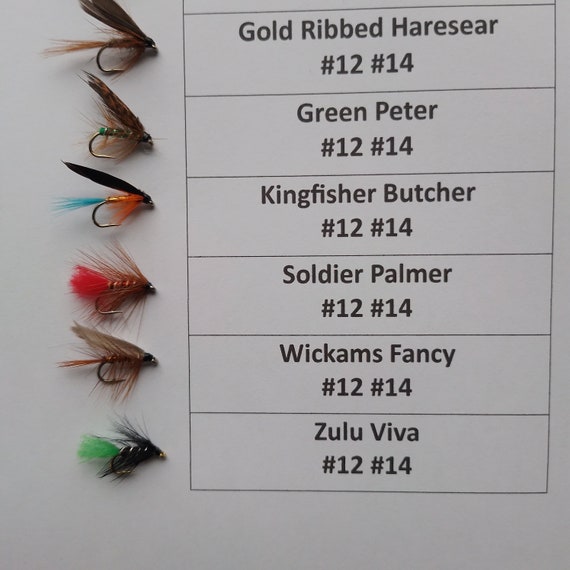 ルアー・フライ TROUT FLIES: PROVEN PATTERNS Trout Flies: Proven Patterns: Gary LaFontaine, Powell