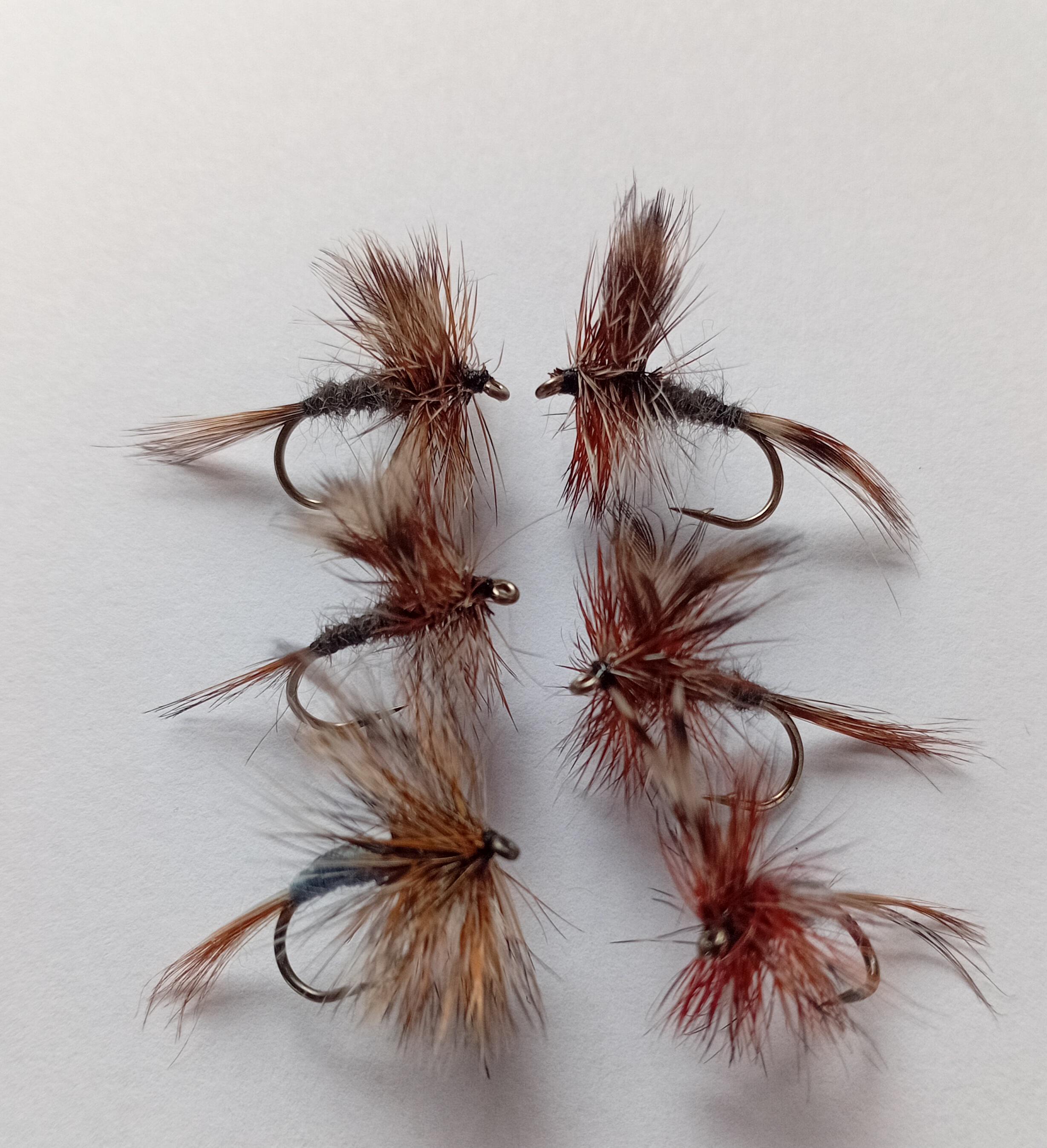 Dry Flies Australia
