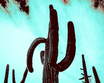 Impression photo couleur - Flore, Faune