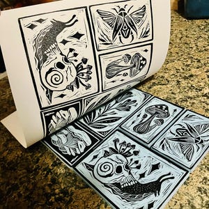 Peut inclure: Estampes en linogravure en noir et blanc repr&eacute;sentant un cr&acirc;ne, des champignons, un papillon de nuit et des feuilles. Les estampes sont dispos&eacute;es en grille, la feuille sup&eacute;rieure &eacute;tant soulev&eacute;e pour r&eacute;v&eacute;ler les estampes en dessous. Fond bleu clair.