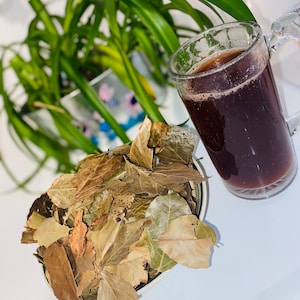 Può includere: Una tazza di vetro trasparente piena di un liquido marrone scuro è accanto a una ciotola di foglie marroni secche. Una pianta verde è sullo sfondo. Le foglie sono di varie tonalità di marrone e beige.