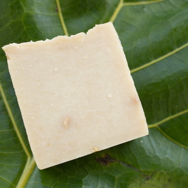 Cabana in Havana - Fresh with a light hint of Pineapple- Dog Shampoo bar, palm free, small batch