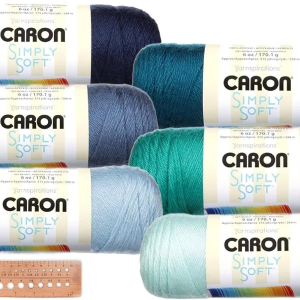 Caron Simply Soft Yarn Assortment (Ocean Tides)