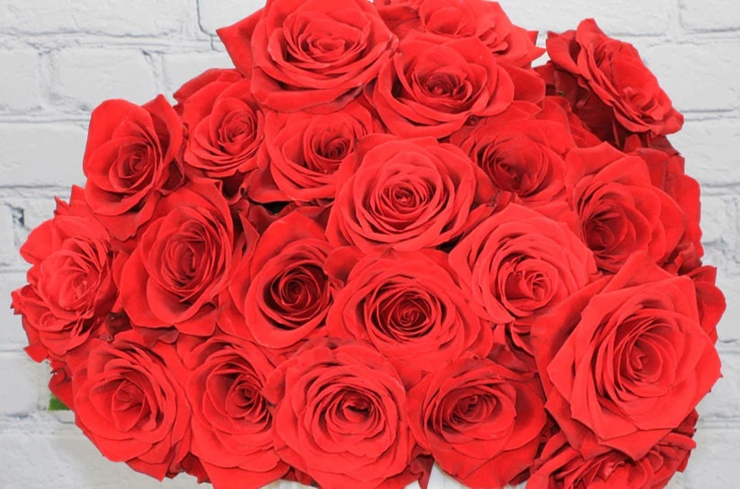 Red Roses Authentic Fresh & Natural Rose | Red - Etsy