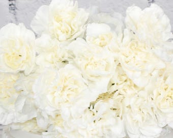 Fresh & Natural Mini Carnations | White