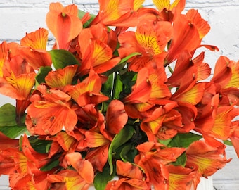 Alstroemerias frescas y naturales - Naranja
