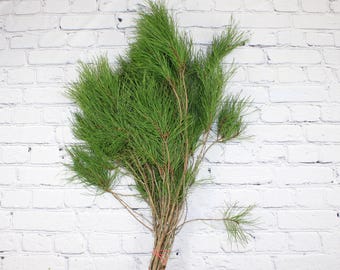 May include: A bunch of green pine sprigs tied together with a red string. The pine sprigs are against a white brick wall background.