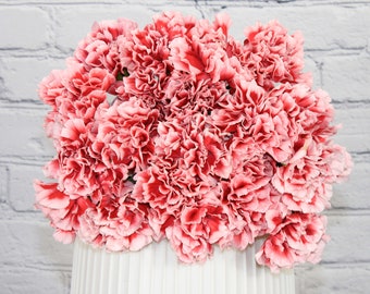 Fresh & Natural Carnation | Red White Bicolor