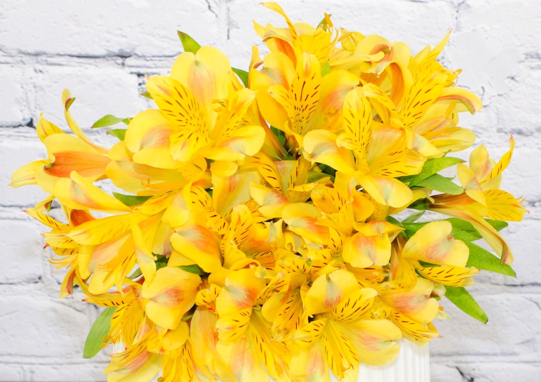 Fresh & Natural Alstroemeria | Yellow - Etsy