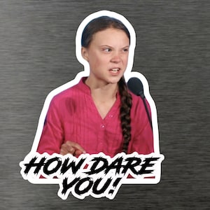 May include: A sticker featuring a photo of a young woman with a serious expression, looking directly at the viewer. The woman is wearing a pink shirt and has her hair in a braid. The text "HOW DARE YOU!" is printed in black letters on a white background below the photo.