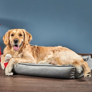 May include: A golden retriever dog laying in a gray dog bed with a white rope toy. The dog is smiling and looking at the camera.