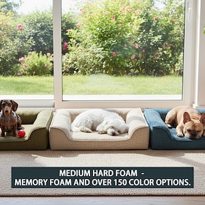 May include: Three dog beds in olive green, beige, and blue, each with a dog resting inside. The beds are rectangular with raised sides. The text at the bottom reads "MEDIUM HARD FOAM - MEMORY FOAM AND OVER 150 COLOR OPTIONS."