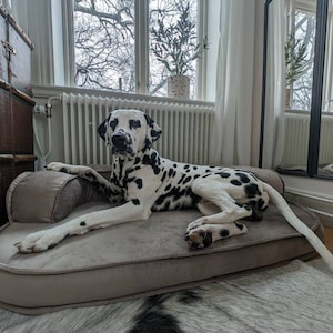 Zero Clearance Couch Style Dog Bed - Cute Dog Bed, Square Dog Bed - Dog Bed Large - Orthopedic Dog Bed- Dog Bed Small