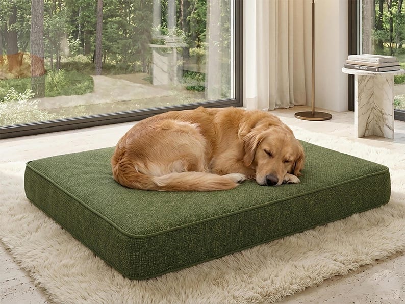 Może przedstawiać: Śpiący golden retriever leży na zielonym, prostokątnym legowisku dla psa. Legowisko znajduje się na białym, puszystym dywanie. Legowisko dla psa ma zieloną obw&oacute;dkę. Tło obejmuje okno z widokiem na drzewa.