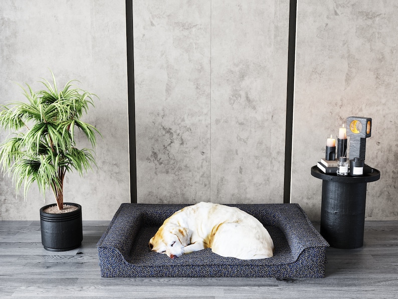 May include: A white and brown dog sleeping on a dark blue dog bed with a raised edge. The bed is on a gray concrete floor with a black plant pot and a black side table with candles and a glass vase.