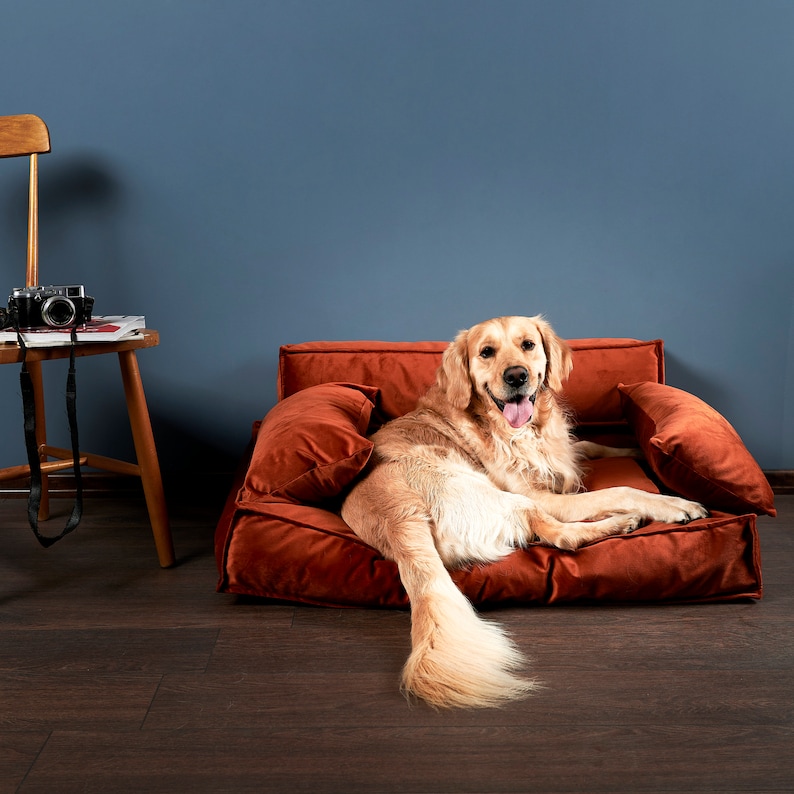 Op de afbeelding: Een golden retriever die ligt in een pluche, oranje hondenbed met een bruine houten vloer op de achtergrond.