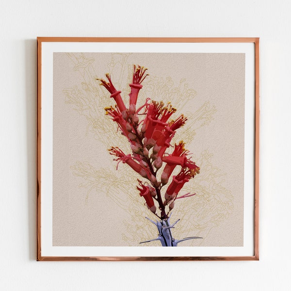 Unframed Ocotillo Bloom Poster