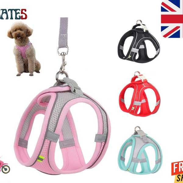 Dog Harness Leash Set for Small Dogs Adjustable Puppy Cat Harness Vest French Bulldog Chihuahua Pug Outdoor Walking Lead Leash