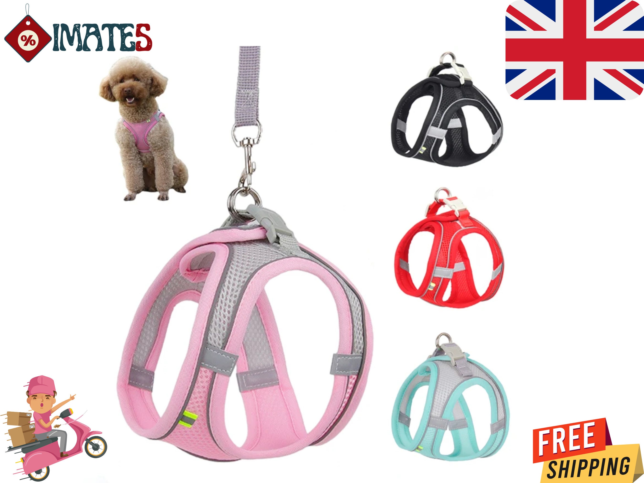 Chihuahua harness top and lead