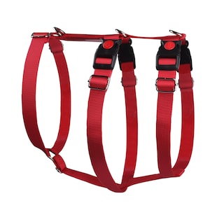 Puede incluir: Arnés rojo para perro con correas ajustables y dos hebillas negras.