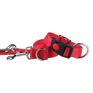 Dog leash and collar set with safety lock, dog collar, puppy collar
