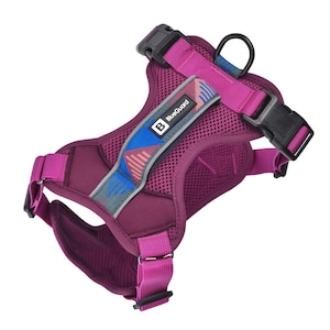 BlueGuard dog harness padded chest harness dog Y-harness leading harness safety harness panic harness reflective breathable
