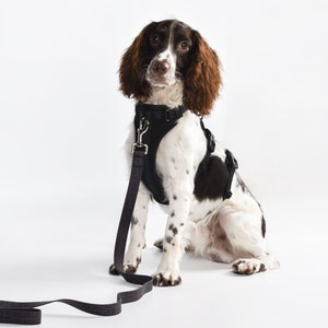 BlueGuard 2-in-1 Safety Harness Chest Harness Dog Harness Panic Harness Escape Proof image 8