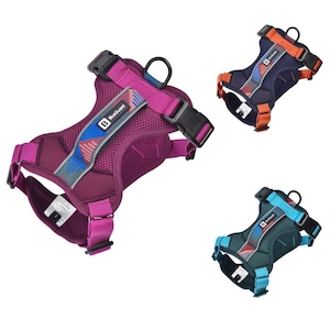 BlueGuard dog harness padded chest harness dog Y-harness leading harness safety harness panic harness reflective breathable