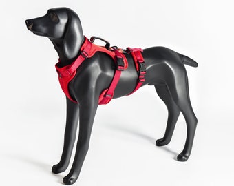 Hunde Sicherheitsgeschirr Auto BlueGuard Sicherheitsgeschirr Für Hunde - Ausbruchsicher, Verstellbar, Brustgeschirr Hundegeschirr Gebraucht
