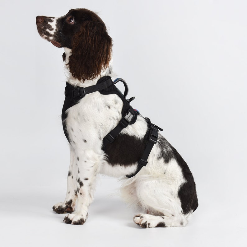 BlueGuard 2-in-1 Safety Harness Chest Harness Dog Harness Panic Harness Escape Proof image 7
