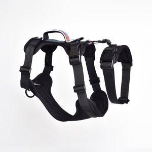 BlueGuard 2-in-1 Safety Harness Chest Harness Dog Harness Panic Harness Escape Proof image 4