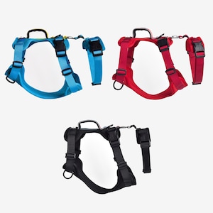 Peut inclure: Trois harnais pour chien de couleurs différentes : bleu, rouge et noir. Chaque harnais est doté d’une sangle de poitrine et d’une sangle dorsale qui se connectent à une boucle. Les harnais ont une poignée au dos pour un contrôle facile.