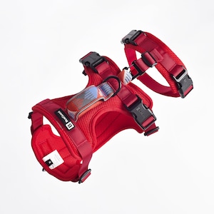 Könnte beinhalten: Rotes Hundegeschirr mit einer schwarzen Schnalle und einem blauen und orangefarbenen Musterband. Das Geschirr hat ein Netzdesign und ist aus atmungsaktivem Material.