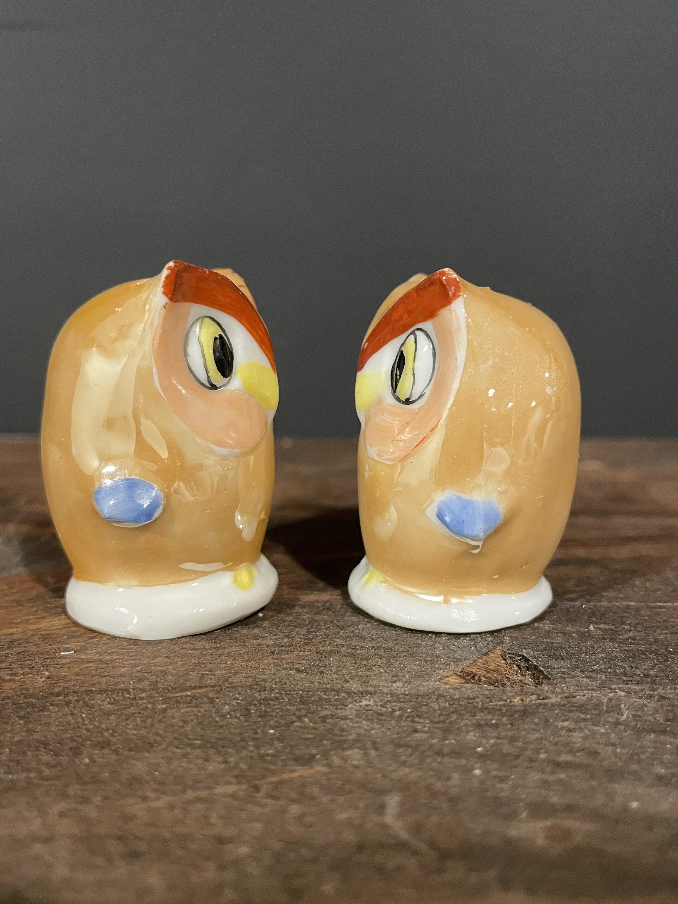 Vintage German Owl Salt and Pepper Shakers: Opalescent Ceramic Set
