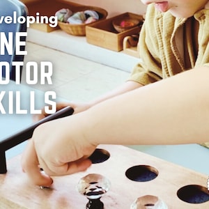 May include: A child's hand reaches for a knob on a wooden board with six circular holes. The board is labeled "Developing FINE MOTOR SKILLS".
