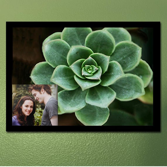 Bella Cactus Photo Print – Photoshop Design, Two Sizes