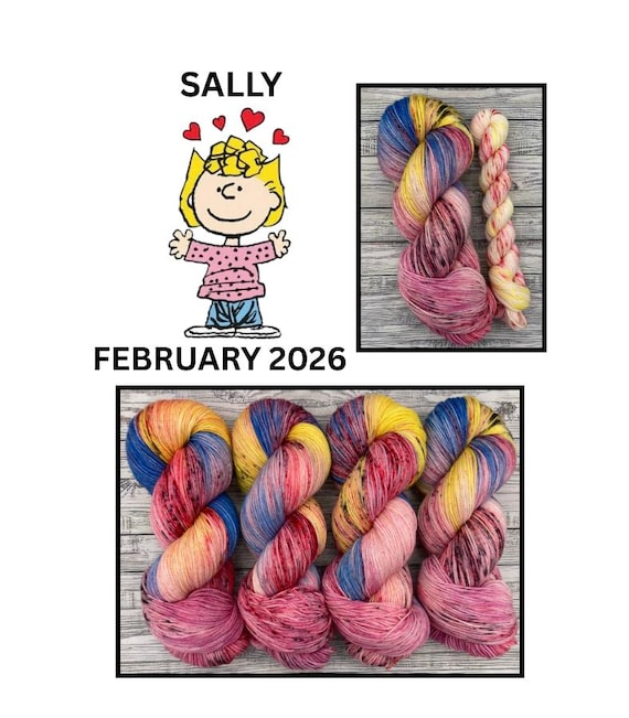 PREORDER Sally February 2026 - Hand-Dyed Superwash Merino Wool Yarn: Pink Yellow Red Blue Black Speckes Mini Skein Sock Set
