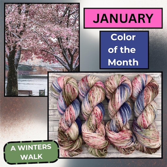 PREORDER A Winters Walk - January Color of the Month - Hand-Dyed Superwash Merino Wool Yarn: Speckles Winter Trees Yarn