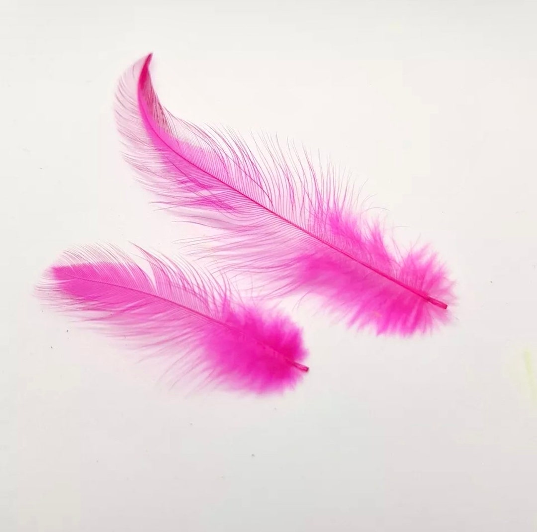 Orange Rooster / Cock Hackle 50 Feathers Flynscotsman Tackle Loose