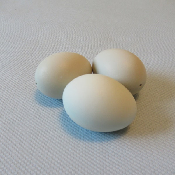 Set of Three Hand blown, Family Farm-raised Single hole Chicken Egg Shells in Natural, Undyed Shades of Pastel Blue-green