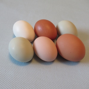 May include: Six eggs of varying colors, including white, brown, and shades of pink and green, are arranged on a light blue surface. The eggs have smooth shells and are oval-shaped, showcasing a natural, rustic aesthetic.