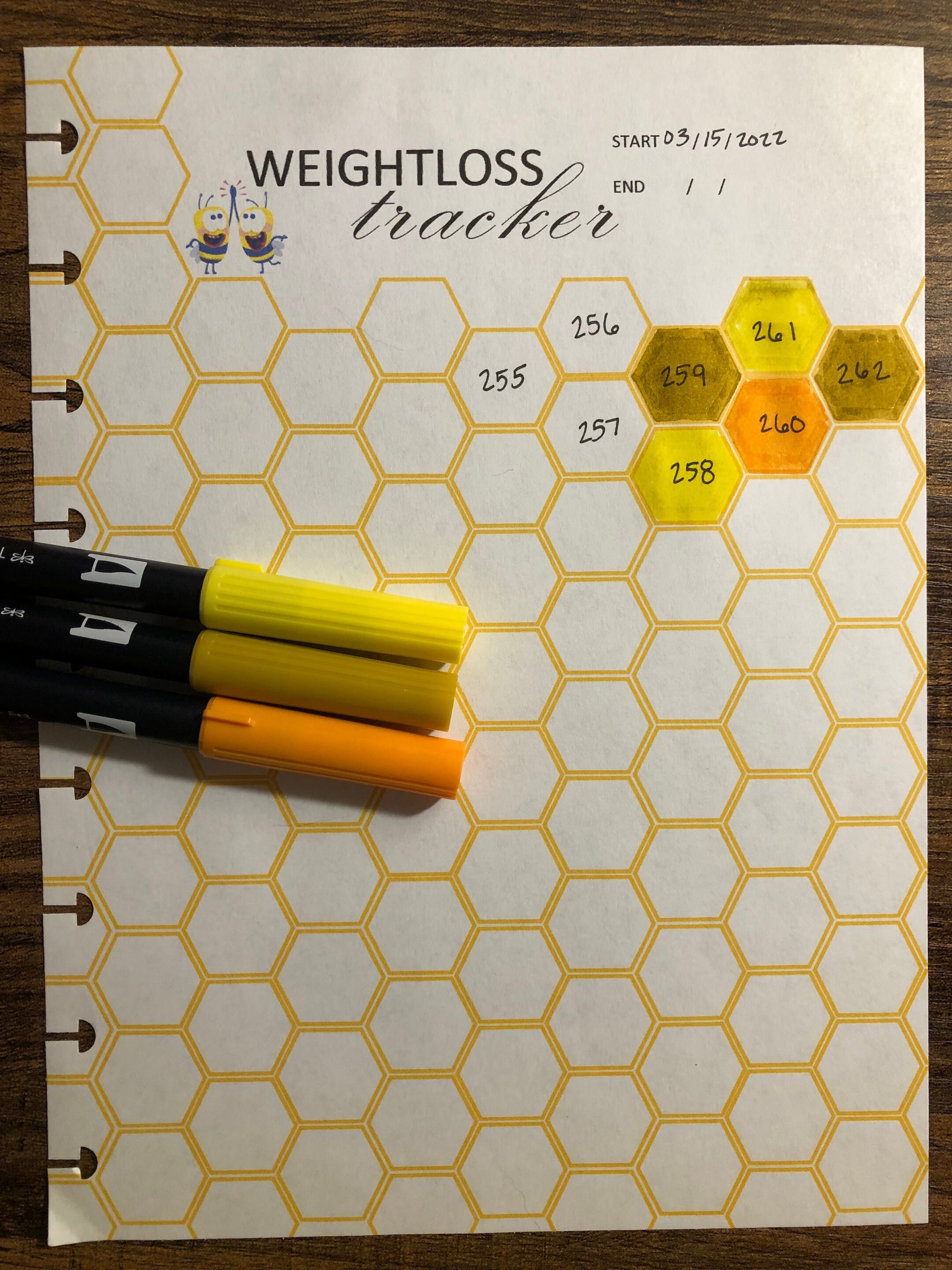 Weight Loss Tracker Etsy