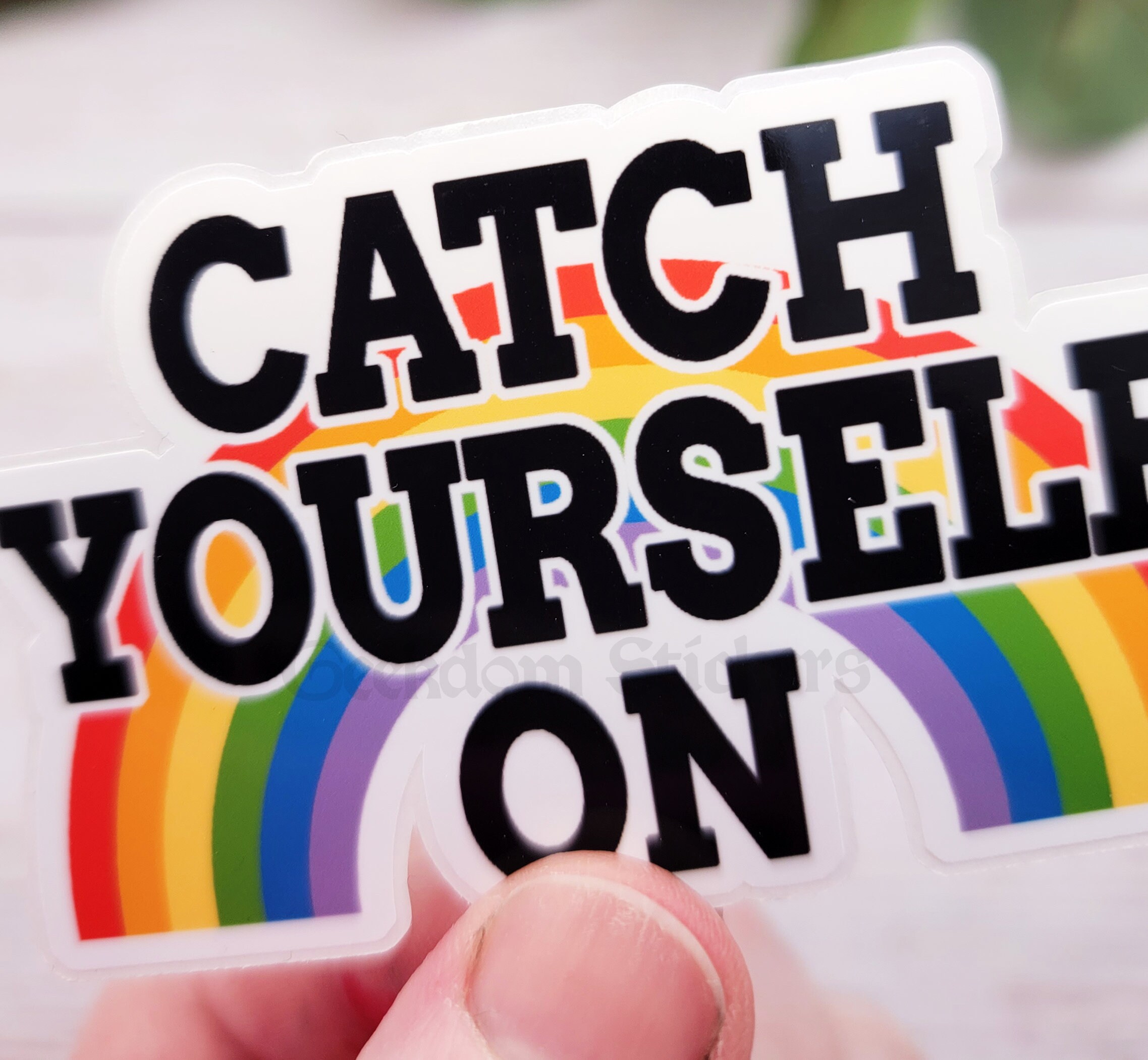 Rainbow Catch Yourself on Derry Sticker, Laptop Decal, Geeky Sticker