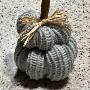 Peut inclure: Une citrouille en tricot gris avec une tige en bois brun et un nœud en paille.