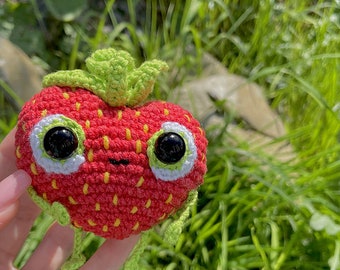 Barry the Strawberry Amigurumi Crochet Pattern *PATTERN ONLY* PDF